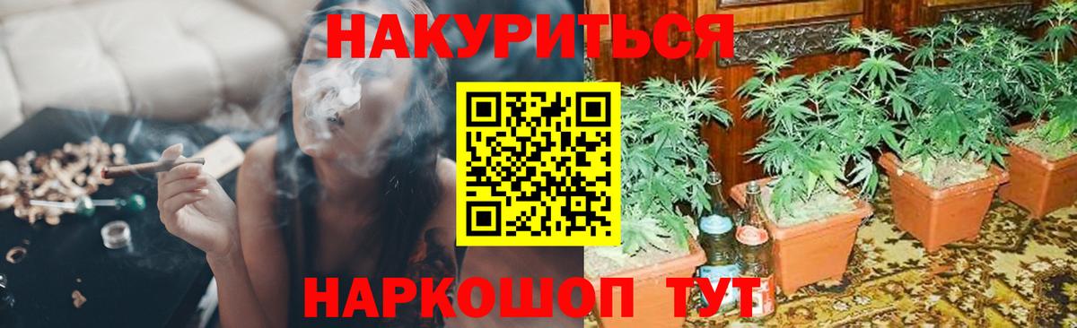 Красноармейск  Каннабис план  Вход с VPN  Бошки Шишки AK-47  Бошки Шишки конопля 